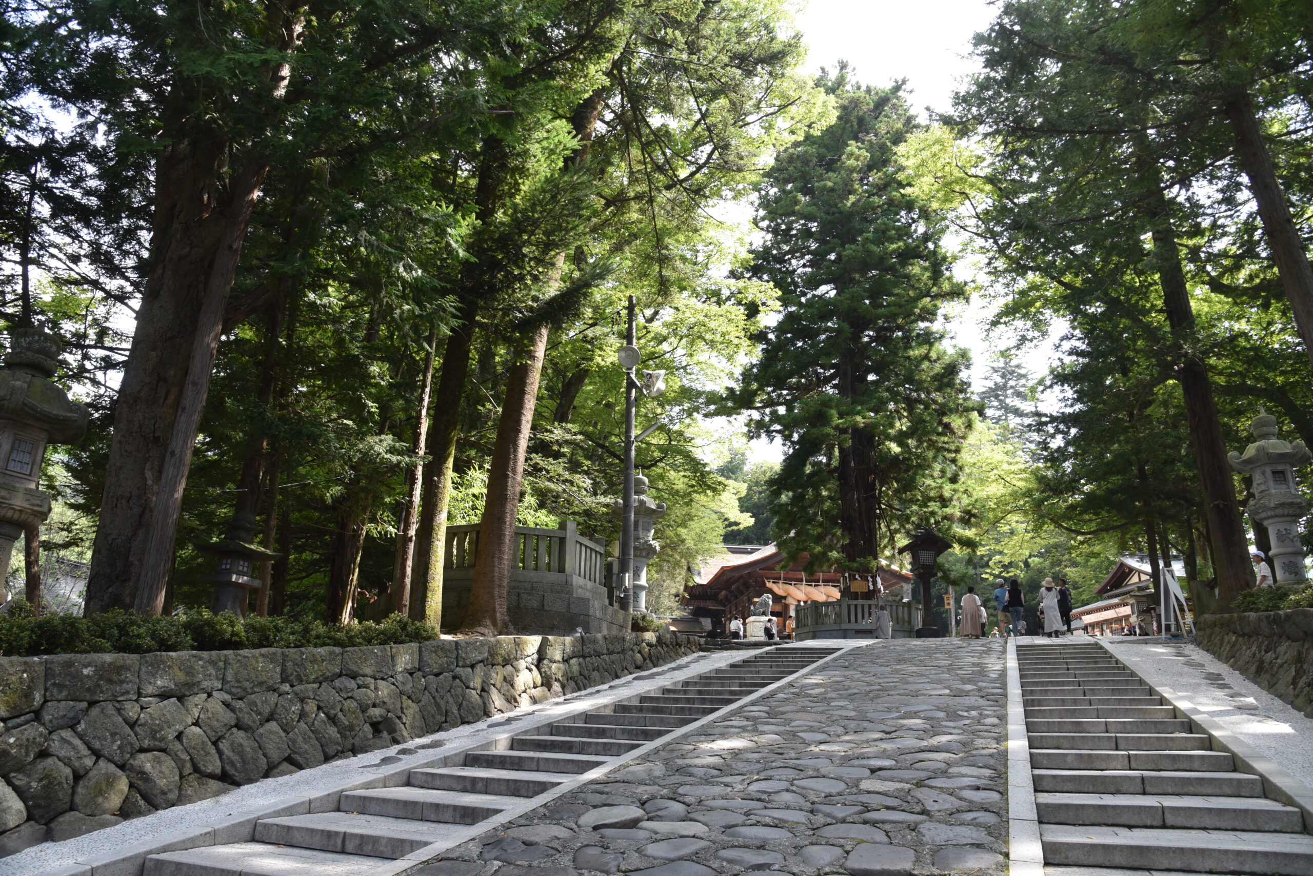 和田宿から阿南町新野を訪れる　　　　　　　　　　　　ルート紹介