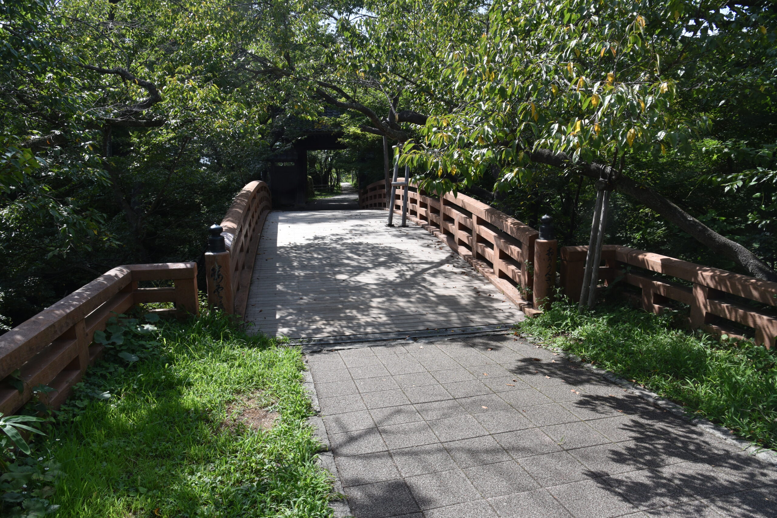 地元ナビゲーターと巡る信州歴史旅の魅力