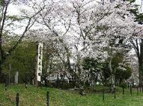 🏯 武田信玄と秋葉街道（国道152号線）：西上作戦の真の目的と戦略ルートを徹底解説